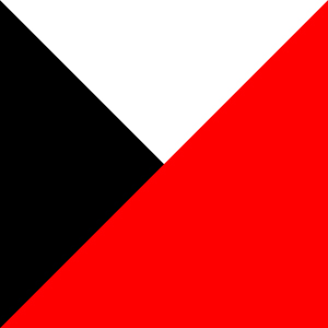 BLACK WHITE RED FLUO
