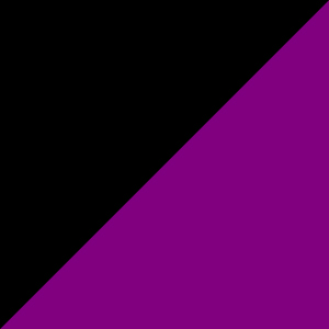 BLACK/EBONY/FUCHSIA